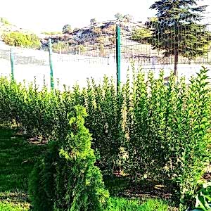 bahçe tel çit fiyatları gebze