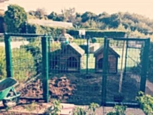 Büyük Bahçeler İçin Tel Köpek Kulübeleri