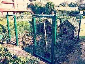 Büyük Bahçe Tel Örgü Köpek Kafesleri