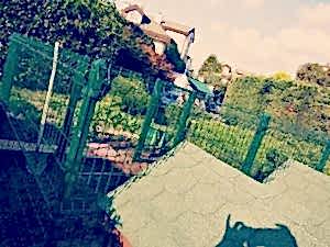 Köpekler İçin Tel Çit Kafes